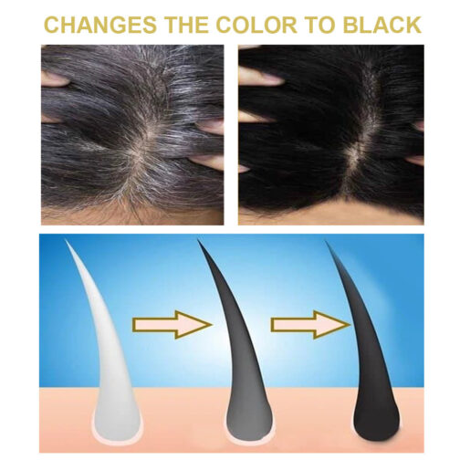 Polygonum Multiflorum Black Hair Shampoo – Natural Plant Ingredients for Healthy, Dark Hair (30ml) - Image 2