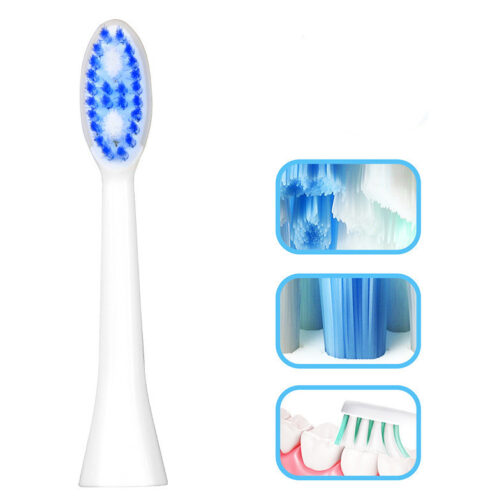 Magnetic Levitation Sonic Electric Toothbrush – Waterproof, Inductive Charging, for Adults - Image 2